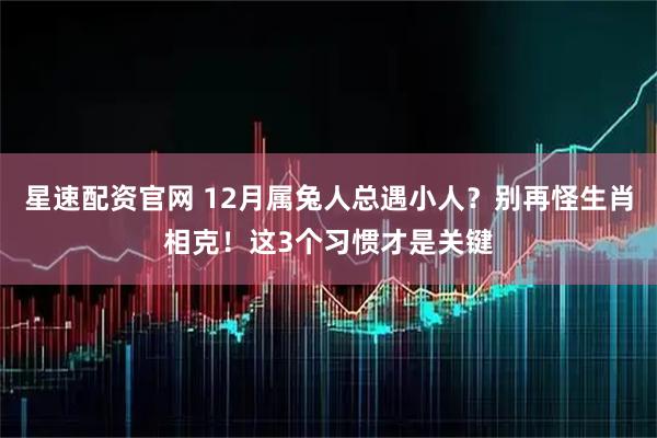 星速配资官网 12月属兔人总遇小人？别再怪生肖相克！这3个习惯才是关键