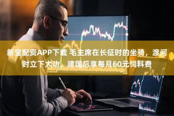 新宝配资APP下载 毛主席在长征时的坐骑，渡河时立下大功，建国后享每月60元饲料费