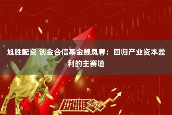 旭胜配资 创金合信基金魏凤春：回归产业资本盈利的主赛道