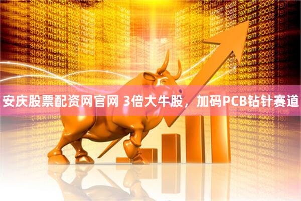 安庆股票配资网官网 3倍大牛股,加码PCB钻针赛道