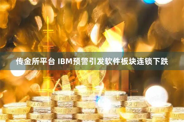 传金所平台 IBM预警引发软件板块连锁下跌